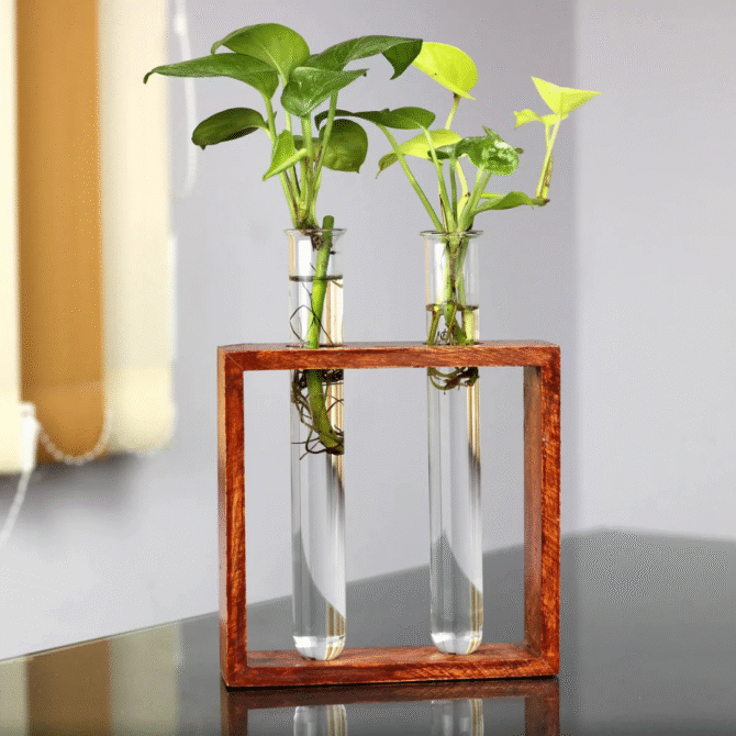 Planter - Image 2