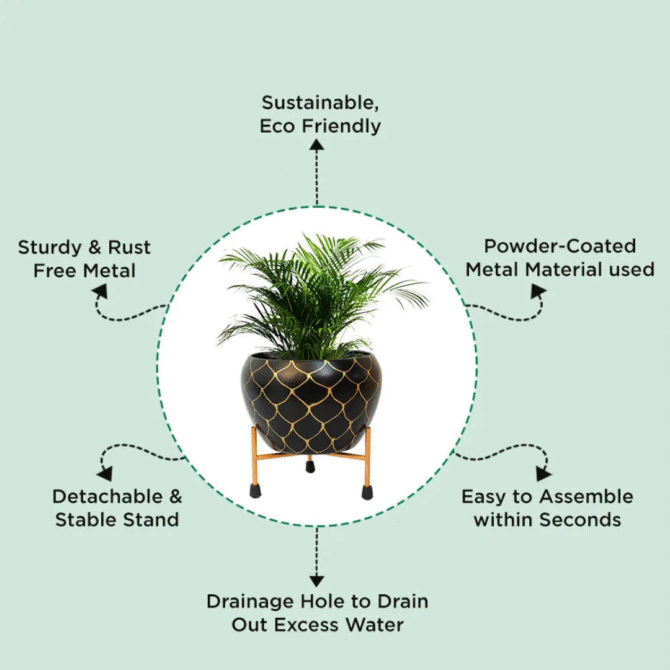 Planter - Image 5