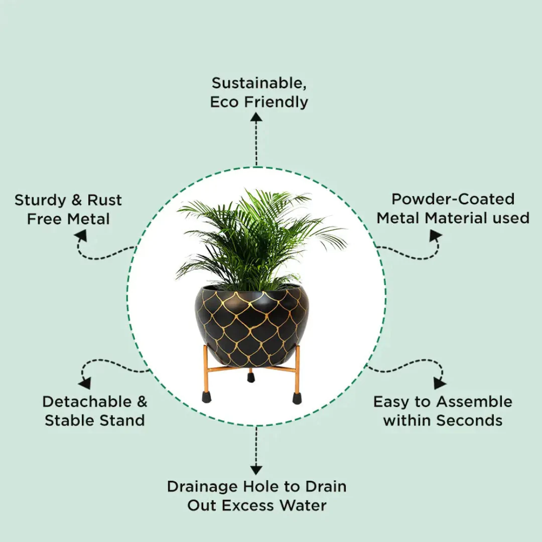 Planter - Image 5