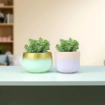 Planter