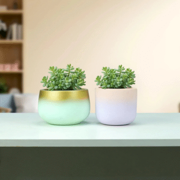Planter