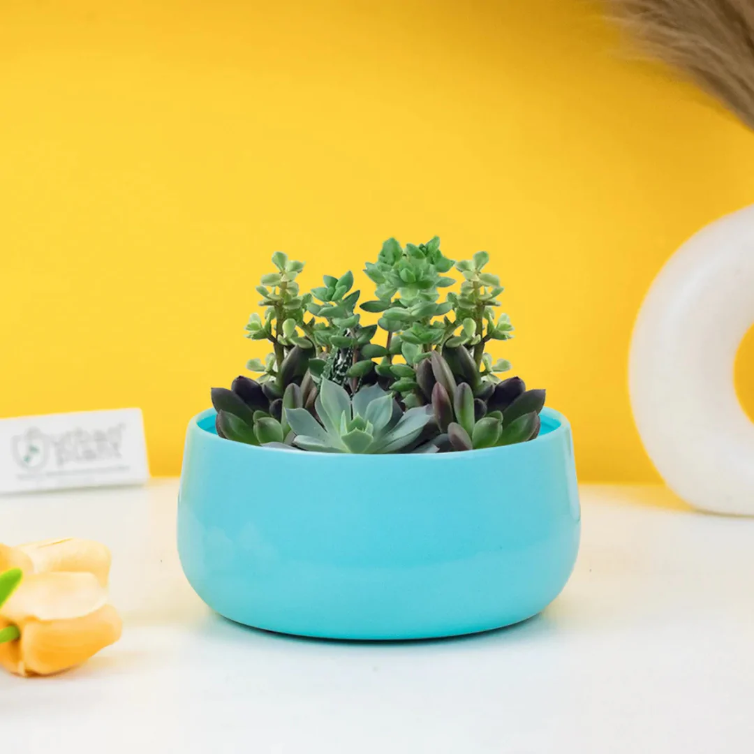 Planter