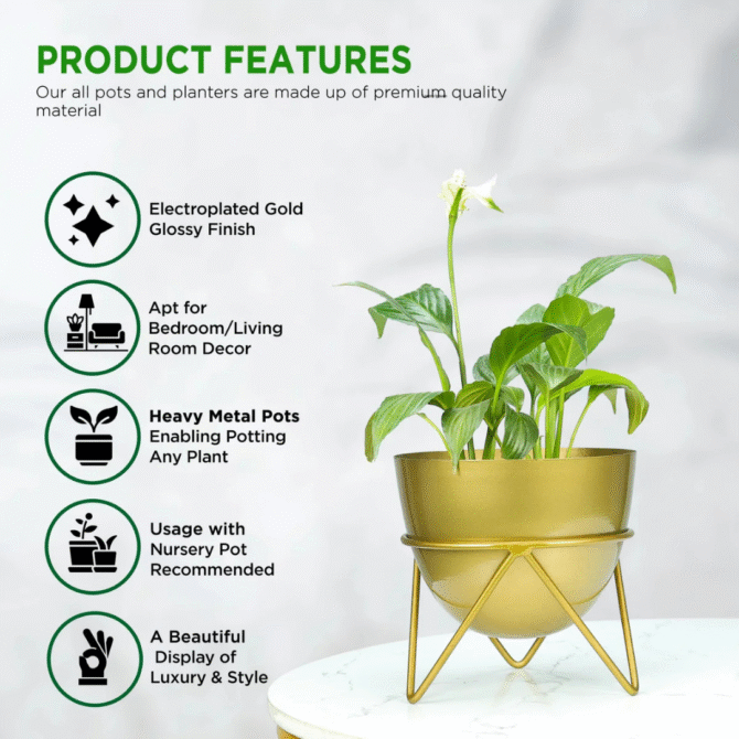 Planter - Image 3
