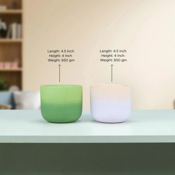 Planter - Image 3